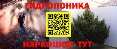 PSILOCYBIN Янаул
