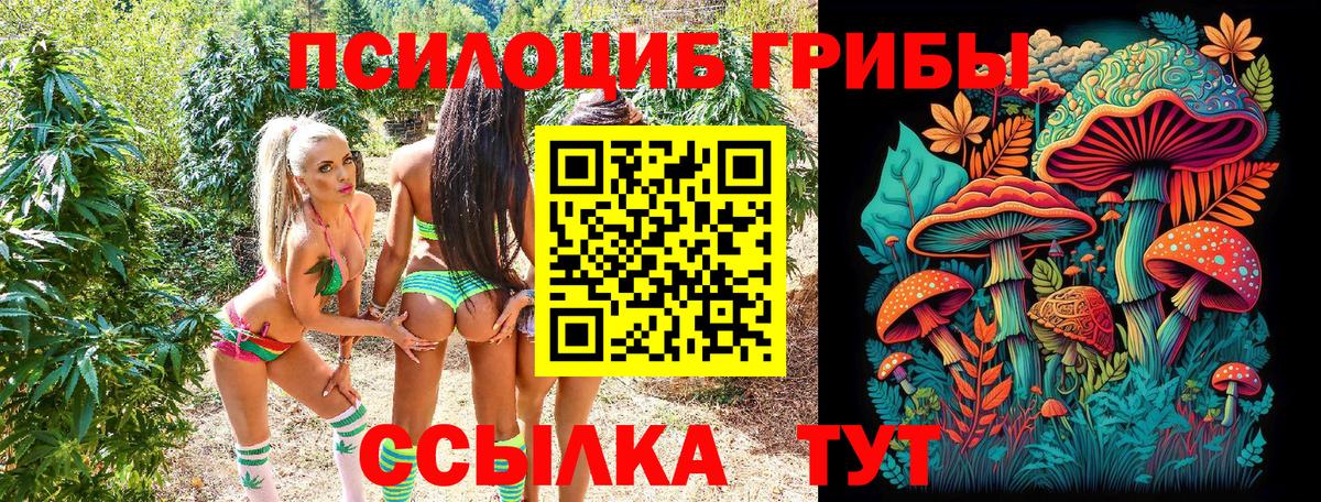 Галлюциногенные грибы Psilocybe Анапа