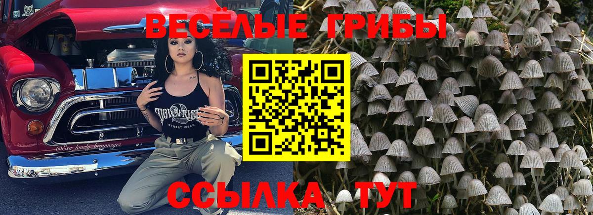 Псилоцибиновые грибы мухоморы  Вход с VPN  сколько стоит  Анапа  Псилоцибиновые грибы Cubensis 